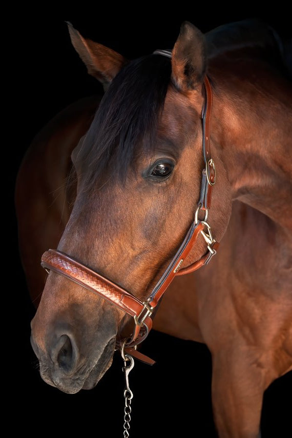 Olympic halter