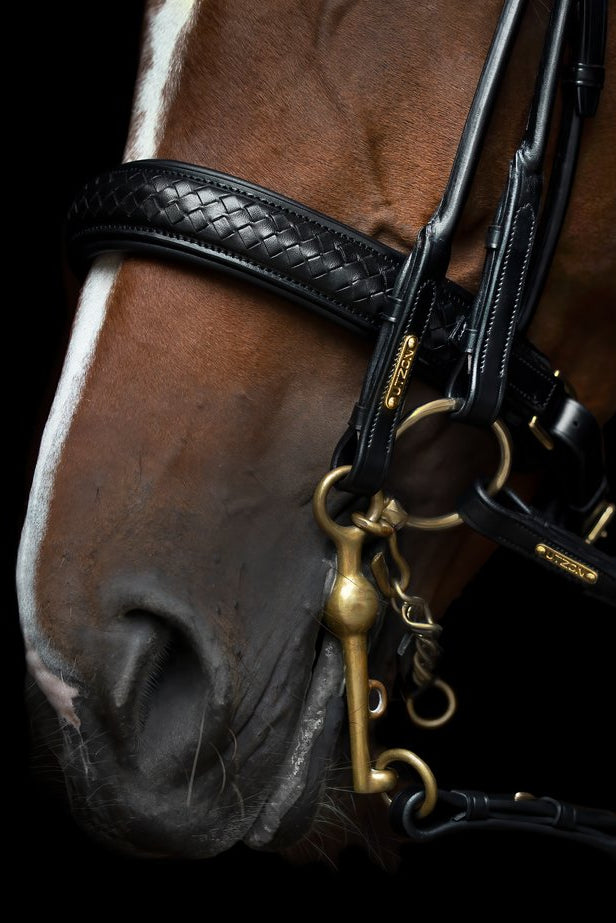 Olympic Double Bridle