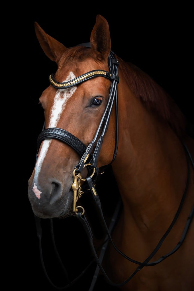 Olympic Double Bridle